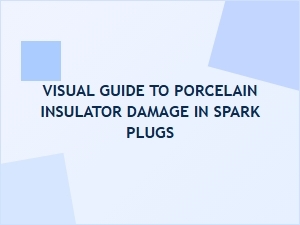 Inspect Spark Plug Porcelain Insulator Damage Visually